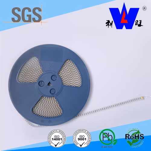 0207/0309/0603/0805 SMD Fusible Wire Wound Resistor