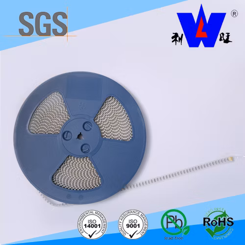 0207/0309/0603/0805 SMD-Schmelzdrahtwiderstand